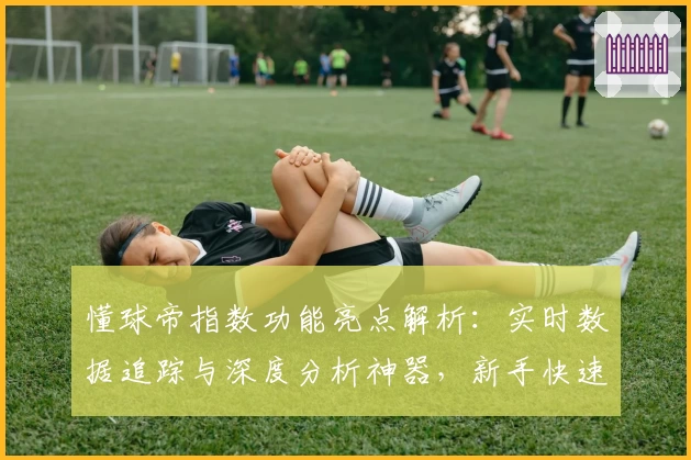 懂球帝指数功能亮点解析：实时数据追踪与深度分析神器，新手快速上手指南