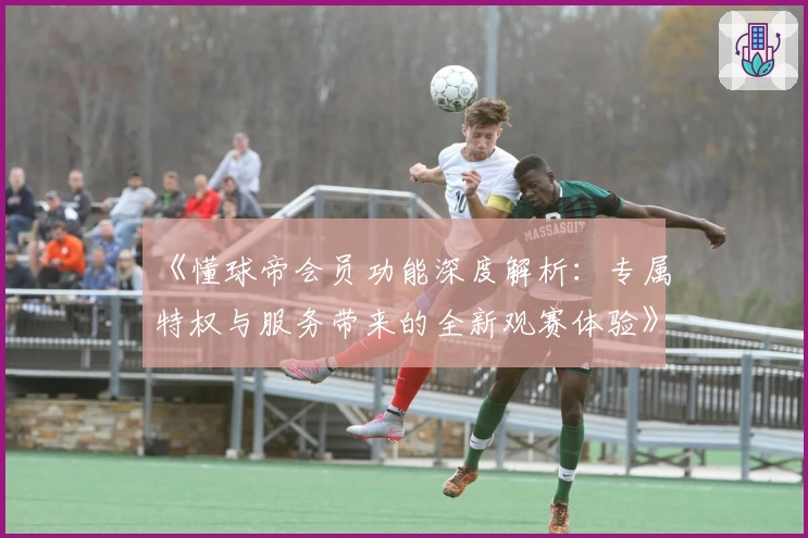 《懂球帝会员功能深度解析：专属特权与服务带来的全新观赛体验》